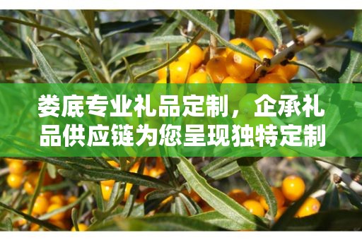 娄底专业礼品定制，企承礼品供应链为您呈现独特定制体验